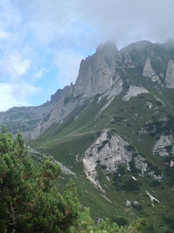 Affittacamere Valle Dorizzo Di Scavoni Paolo Val Dorizzo Dış mekan fotoğraf